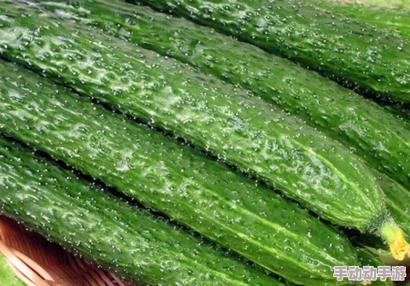 污黄瓜视频引发热议，网友纷纷表示震惊与不满，认为这种内容不应在网络上流传