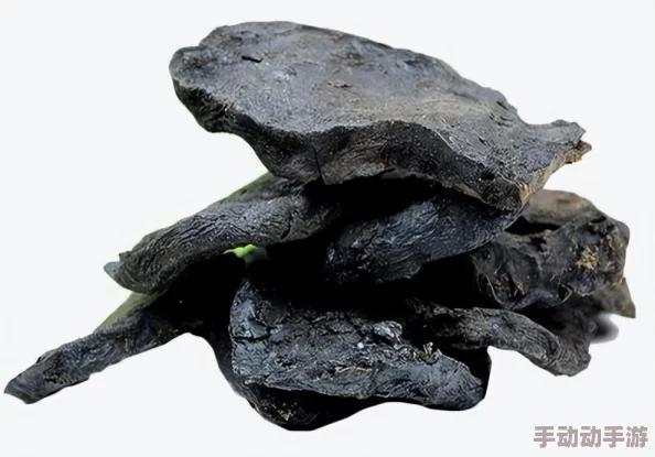 最新国产美女肝交视频播放引发热议，网友纷纷讨论其内容与影响，相关平台也加强了监管措施