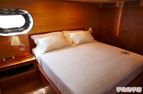 成人版性船：全球首艘专为成年人设计的奢华游轮即将启航，体验前所未有的私密与刺激！