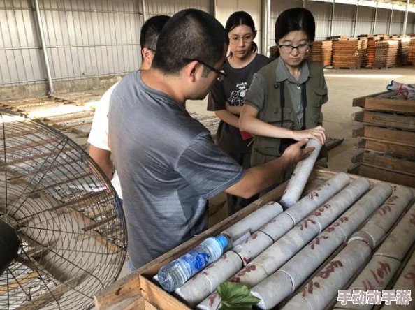 大地资源中文在线观看免费版：最新动态与精彩内容一览，助你全面了解大地资源的魅力与价值