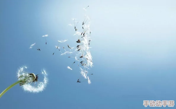 一念之境：全面解析哪个英雄最值得培养，最新角色强度榜单