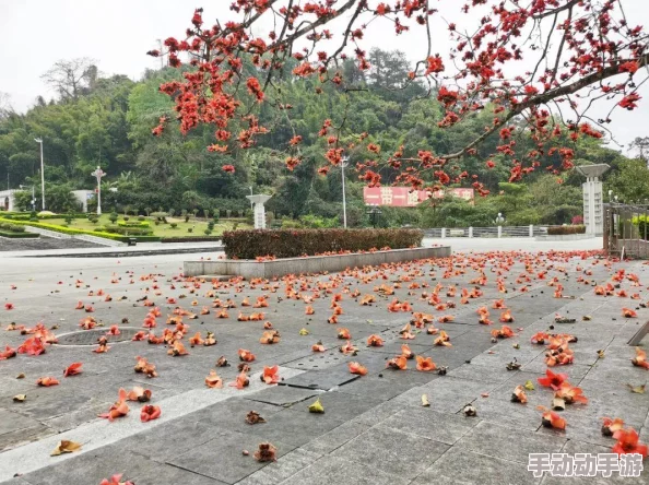 使命召唤手游元宵节活动详解：福利内容大放送及精彩活动介绍