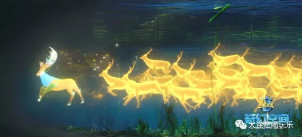 揭秘暗区突围：深入探索多斯传奇经历与英勇故事