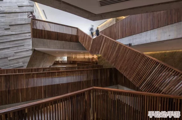 独奏骑士深度解析：野性图腾护甲搭配与全面攻略推荐