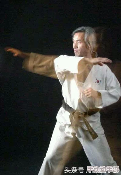 探究热门格斗游戏：死神VS火影中马保国角色所属版本详解