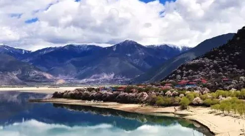 九色丨九一pony在线：多彩世界的探索与发现，揭示创意无限可能