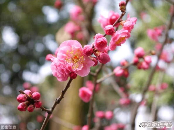 星空无痕mv免费观看,震撼上线!感受音乐与视觉的完美结合,带你进入梦幻般的星空世界! 星空无痕mv免费观看,震撼上线!感受音乐与视觉的完美结合,带你进入梦幻般的星空世界!