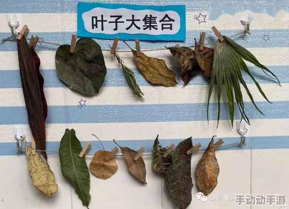 国产孩交videossex：最新动态揭示了这一现象背后的社会影响与心理因素，引发广泛关注与讨论