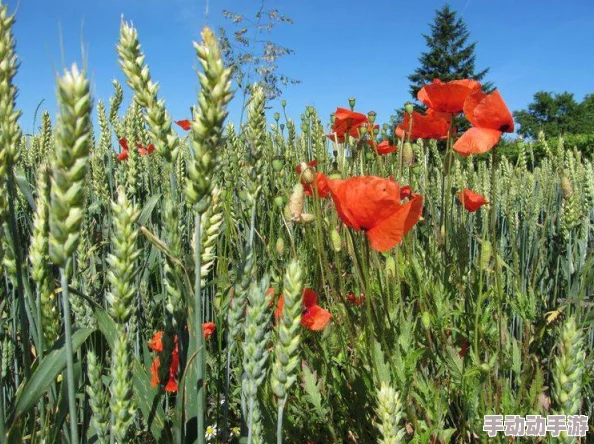 主人我错了能不能关掉开关忘羡？新动态揭示角色间的深厚情感与复杂关系，粉丝热议剧情发展引发共鸣