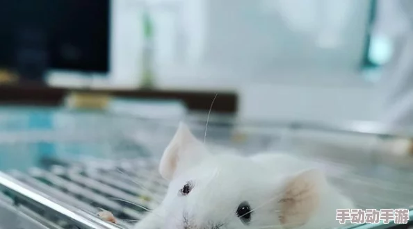 HWDHDHDXⅩXXX100:震惊!全球首次发现神秘物质,科学界面临颠覆性理论挑战! HWDHDHDXⅩXXX100:震惊!全球首次发现神秘物质,科学界面临颠覆性理论挑战!