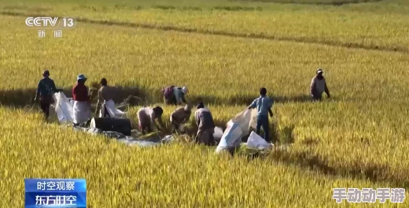 捻压花核：新技术引领农业革命，助力农民增收致富的秘密武器！