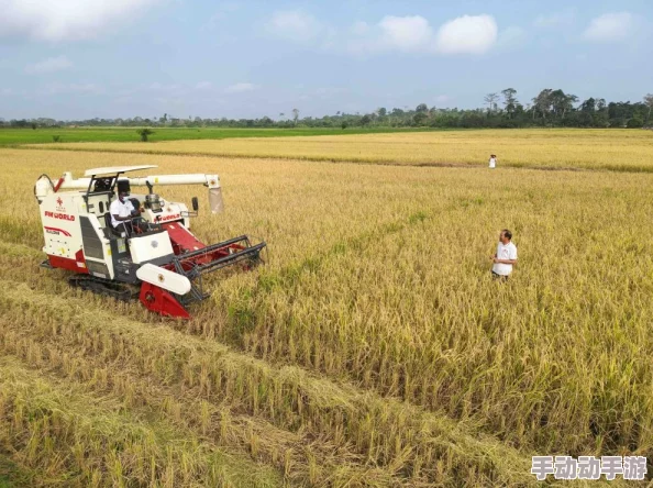 捻压花核：新技术引领农业革命，助力农民增收致富的秘密武器！