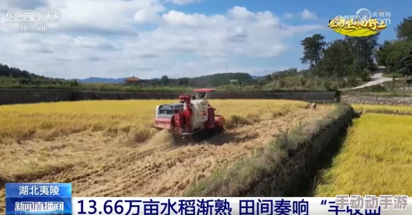 捻压花核：新技术引领农业革命，助力农民增收致富的秘密武器！