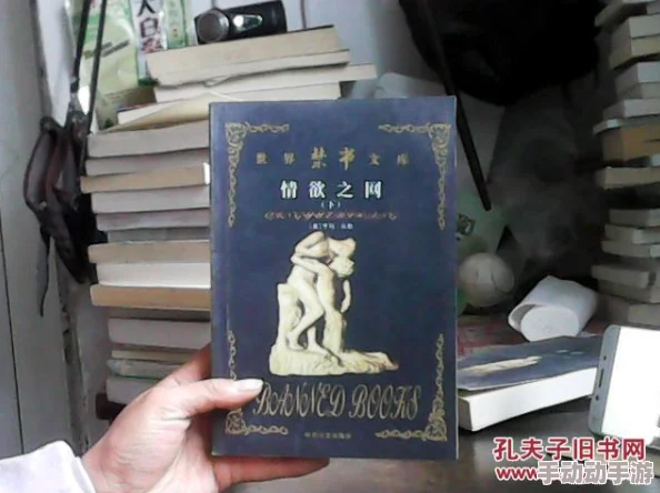 探索禁忌之境：乱肉合集中的激情与欲望篇小说