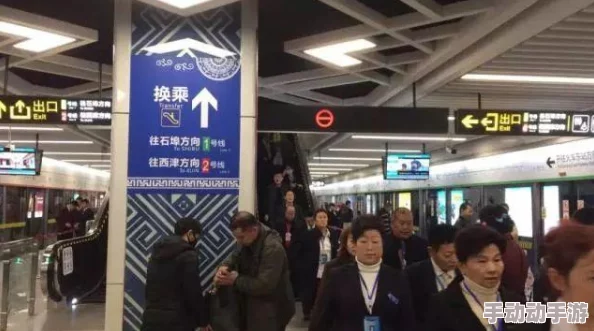 地铁逃生游戏中，妹控枪械哪款皮肤手感更佳，玩家心得分享