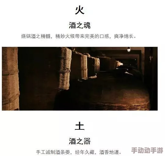 探索印度黄色片背后的文化现象与社会影响：一场视觉与思想的碰撞