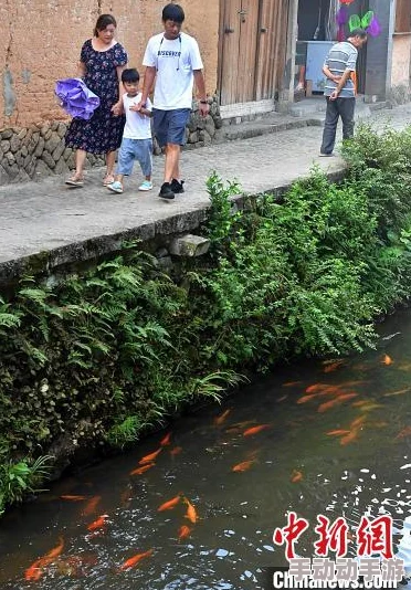 探索鲤鱼乡的魅力：快点进来，感受自然与人文的完美结合