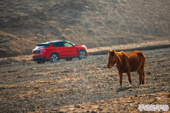 DNF搬砖攻略：探索哪个地图最简单高效，适合新手入门