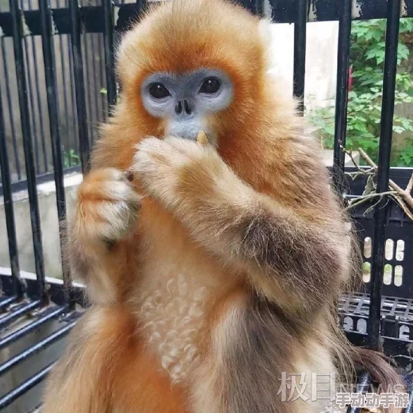 和闺蜜香蕉在ktv被,网友纷纷表示这样的经历让人哭笑不得,娱乐圈的趣事总是层出不穷 和闺蜜香蕉在ktv被,网友纷纷表示这样的经历让人哭笑不得,娱乐圈的趣事总是层出不穷