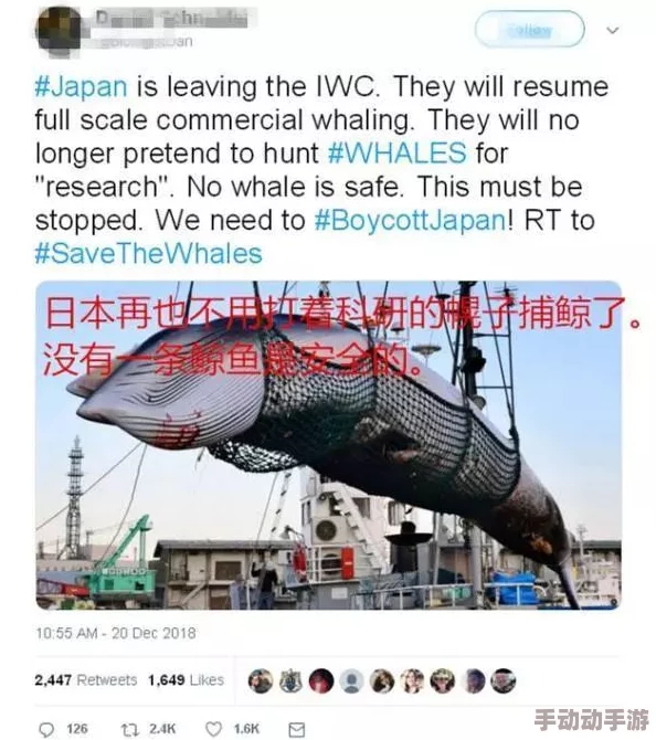 边做饭边被躁欧美三级：最新动态显示该影片在社交媒体上引发热议，观众对其情节和表演给予了高度评价