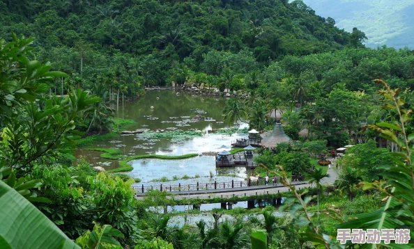 梦幻西游深度探索：洞天福地养身心全面攻略指南