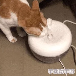 梦幻西游深度攻略：泪痕碗之念3星挑战完美通关指南