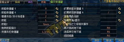 DNF游戏中技能释放的默认快捷键是哪个键位？
