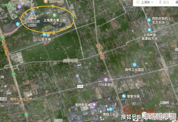 如鸢郿坞据点重建项目的详细路线图文解析与指南