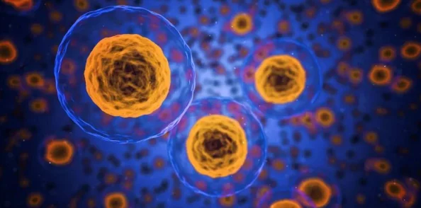 沉甸甸的巨型球体现身海底，科学家们正在进行深入研究以揭开其神秘面纱和来源