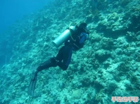 沉甸甸的巨型球体现身海底，科学家们正在进行深入研究以揭开其神秘面纱和来源