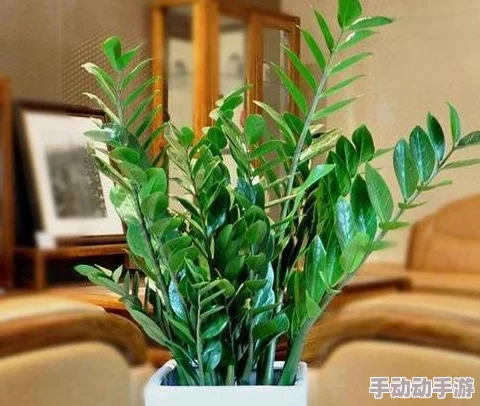 国产亚洲欧美另类久久久：最新动态分析与市场趋势，探讨其在国内外文化产业中的影响力与发展前景