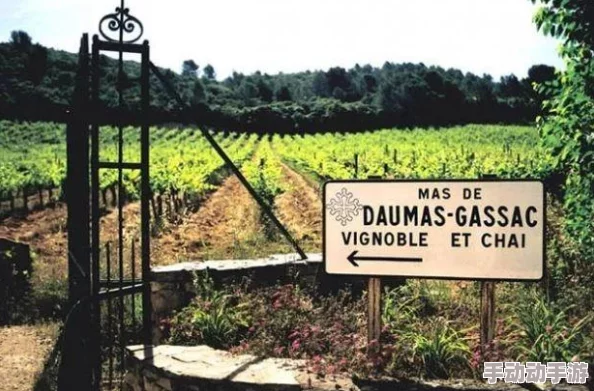 91精产国品一二三产区粉粉引发市场热潮，消费者争相抢购，销量破历史纪录！