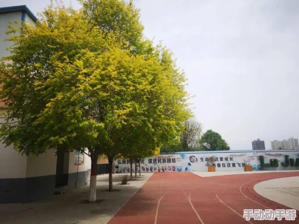 男校公用便器的趣事：夏苒苒在校园生活中的搞笑经历与成长故事