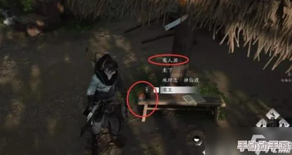 燕云十六声游戏深度攻略：如何顺利完成物归原主任务详解