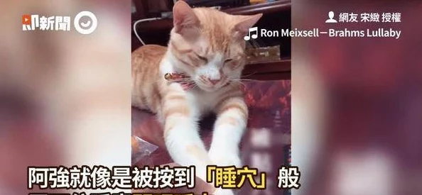 快一点喔好深啊再快一点喔，让我们一起感受激情的极致体验！