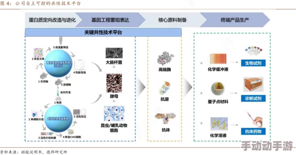 96XXXX＂：解析这一神秘数字背后的含义及其在不同领域中的应用与影响，揭示其潜在的重要性和相关性