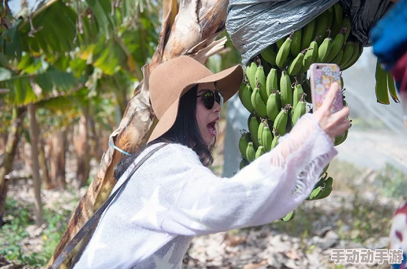 探索香蕉一区二区三区观:揭示其背后的文化意义与社会影响 探索香蕉一区二区三区观:揭示其背后的文化意义与社会影响