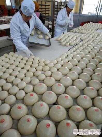 天乩之白蛇传说：深度解析蓬莱职业技能搭配与加点攻略