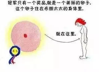 探索小子宫的神秘世界：嗯啊射带来的奇妙体验与生理反应