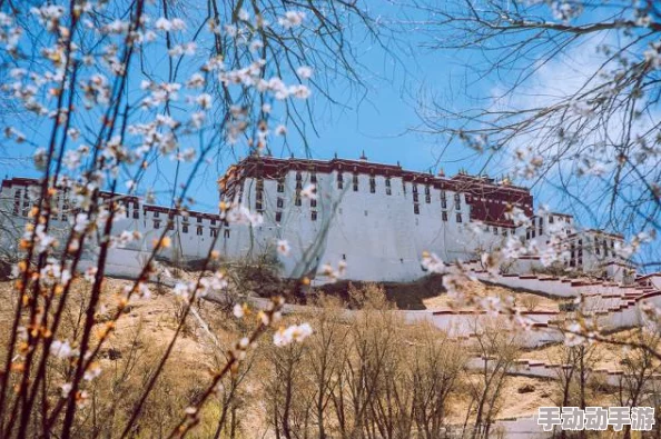 探索日本独特文化与风景的精彩图片集：感受异国魅力之旅