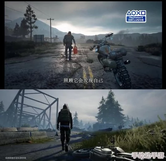 代号生机游戏攻略：全面解析食物获得方法与技巧介绍