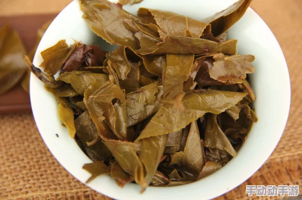 欧美一级毛片兔费播放：最新动态揭示了该平台用户增长迅速，内容更新频繁，吸引了大量新用户的关注与参与