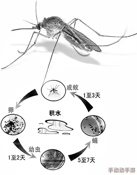 日本夏冰寒说：欧美jizz18欧美：最新动态显示该领域持续受到关注，相关内容和作品不断更新，引发广泛讨论与热议