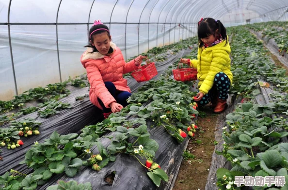 美女喷水网站最新动态：平台更新了多项功能，提升用户体验，新增互动环节吸引更多粉丝参与