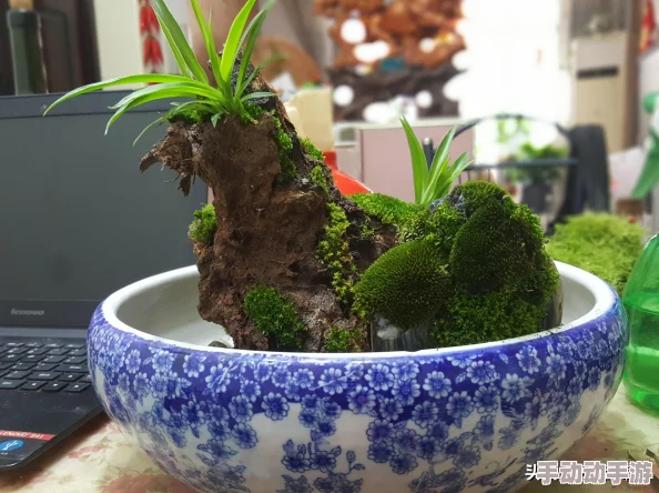 美女喷水网站最新动态：平台更新了多项功能，提升用户体验，新增互动环节吸引更多粉丝参与