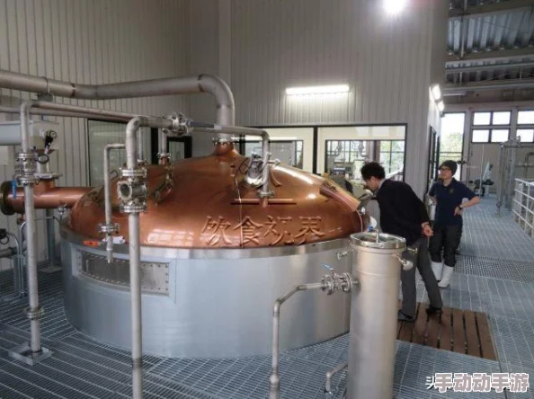 明日之后游戏攻略：3级背包扩容袋制作方法与详细配方教程