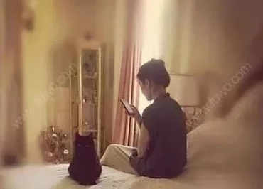 边做边爱：在生活的点滴中发现爱情的真谛与激情