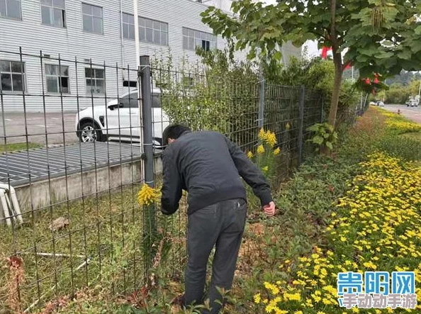 探索一级黄色性生活的多样性：从情感深度到身体体验的全方位解读与思考