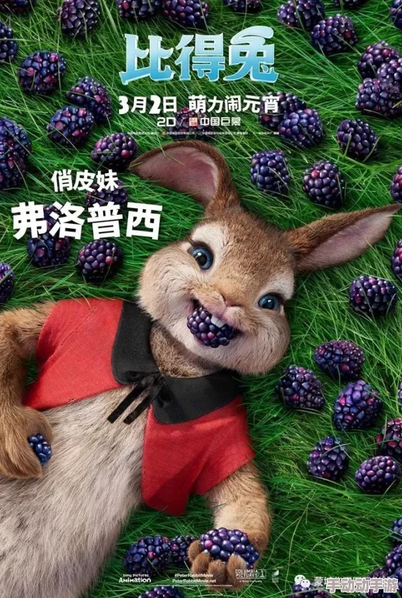 啊∽你tm别 了我的小兔兔电影：一部颠覆想象的奇幻冒险，带你进入兔子世界的神秘旅程！