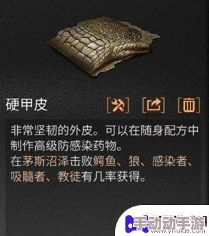 明日之后：获取硬甲皮攻略及高级防感染药物必备材料详解